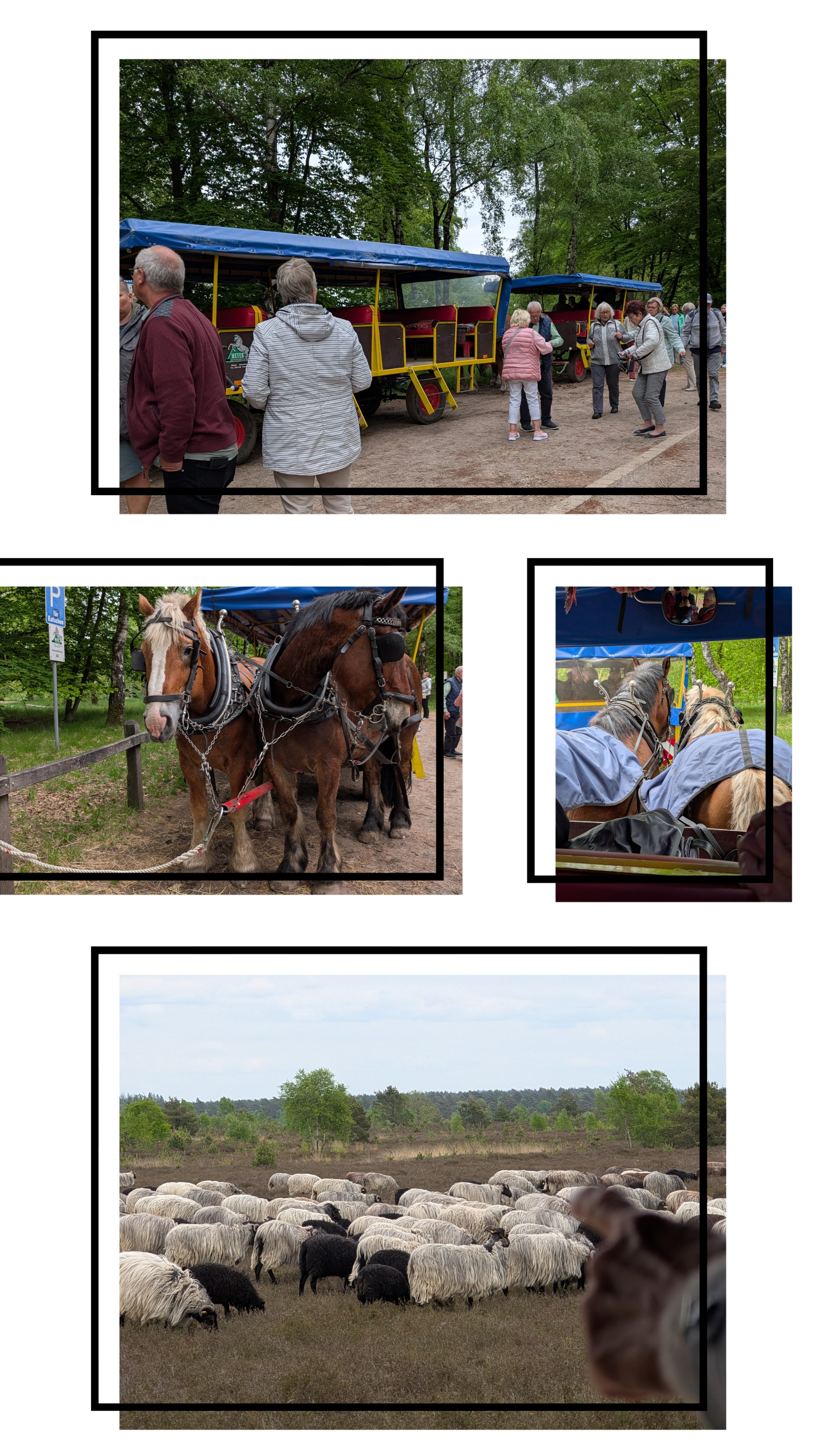 Bildcollage Kutschfahrt